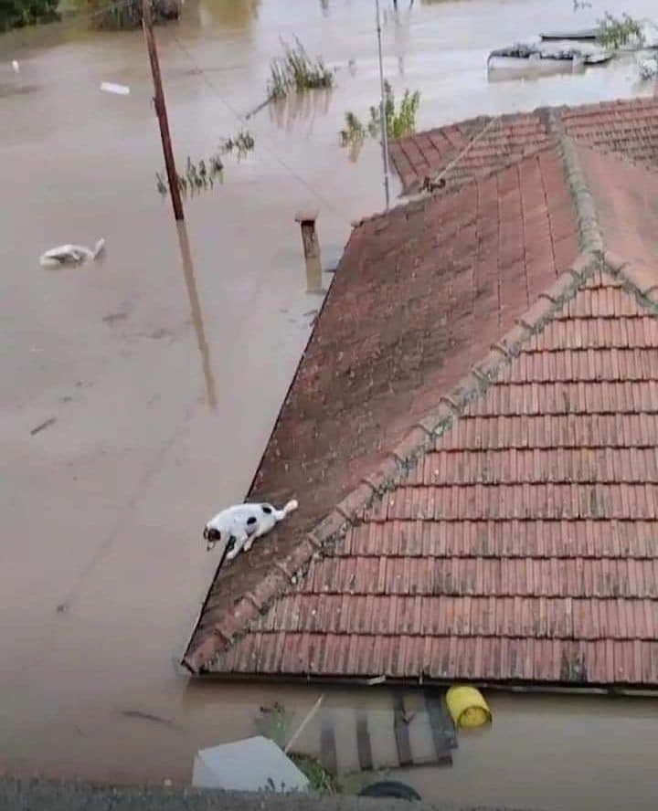 Παράταση στην αναστολή φορολογικών υποχρεώσεων για πλημμυροπαθείς