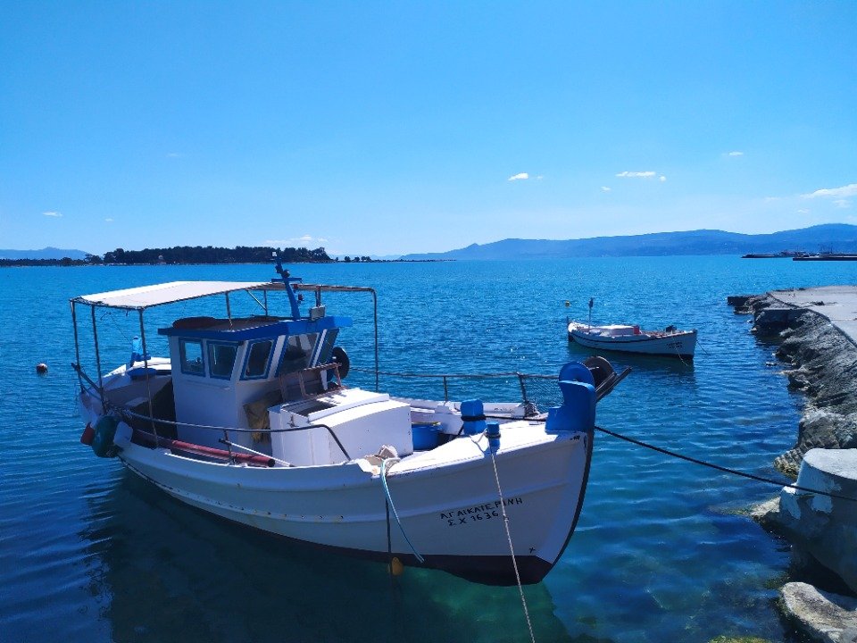 Λουόμενος εντόπισε σφαίρες σε θάλασσα στο Μαρκόπουλο Ωρωπού