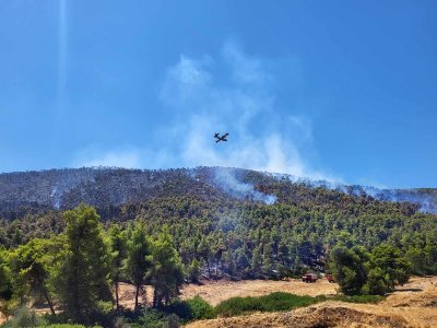 Να κηρυχθούν σε κατάσταση έκτακτης ανάγκης οι Δημοτικές Κοινότητες Αφρατίου και Φύλλων ζητά η Δήμαρχος Χαλκιδέων