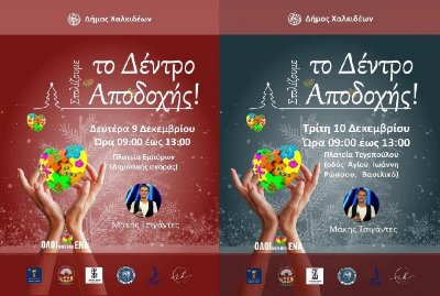 Τα «Δέντρα της Αποδοχής» στολίζει για 4η χρονιά ο Δήμος Χαλκιδέων