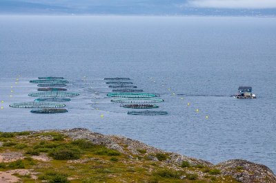 Τραυματισμός εργαζόμενου σε μονάδα ιχθυοκαλλιέργειας στη Λάρυμνα